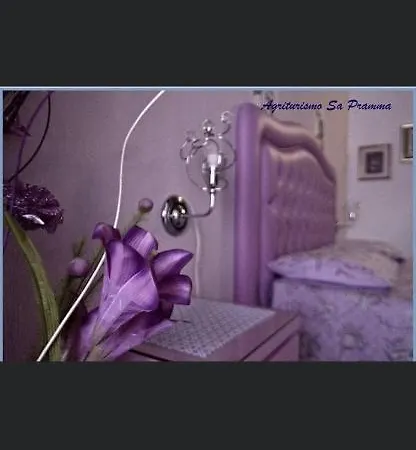 Фермерский дом Agriturismo Sa Pramma