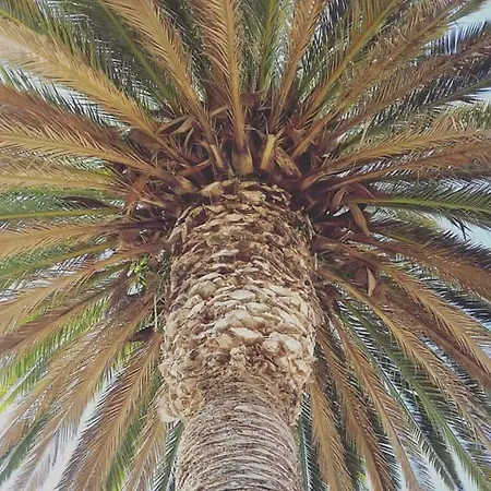 Agriturismo Sa Pramma Фермерский дом